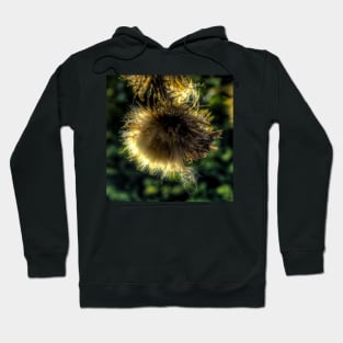 Thistle Light Refraction Hoodie